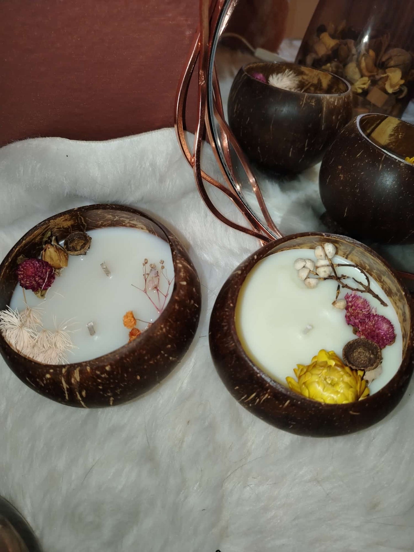 Cocco