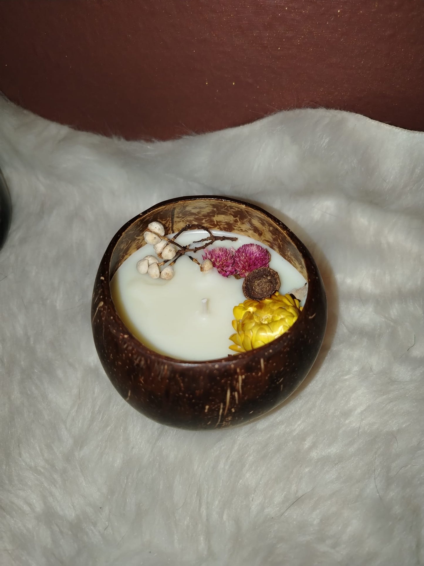 Cocco